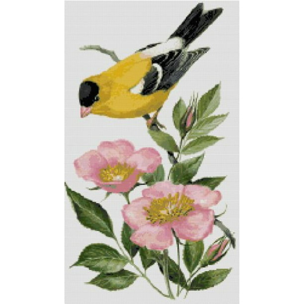 GOLDFINCH~ Garden Bird ~ Full counted cross stitch kit with all materials 
